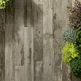 Woodmania Ragno Marazzi