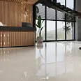 Onyx Protiles