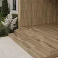Carrizo Paradyz