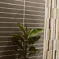 Tropic Mainzu